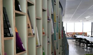 Biblioteca infantil:  conservatório de ideias