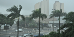 Chuva forte causa queda de árvores e interdição no trânsito