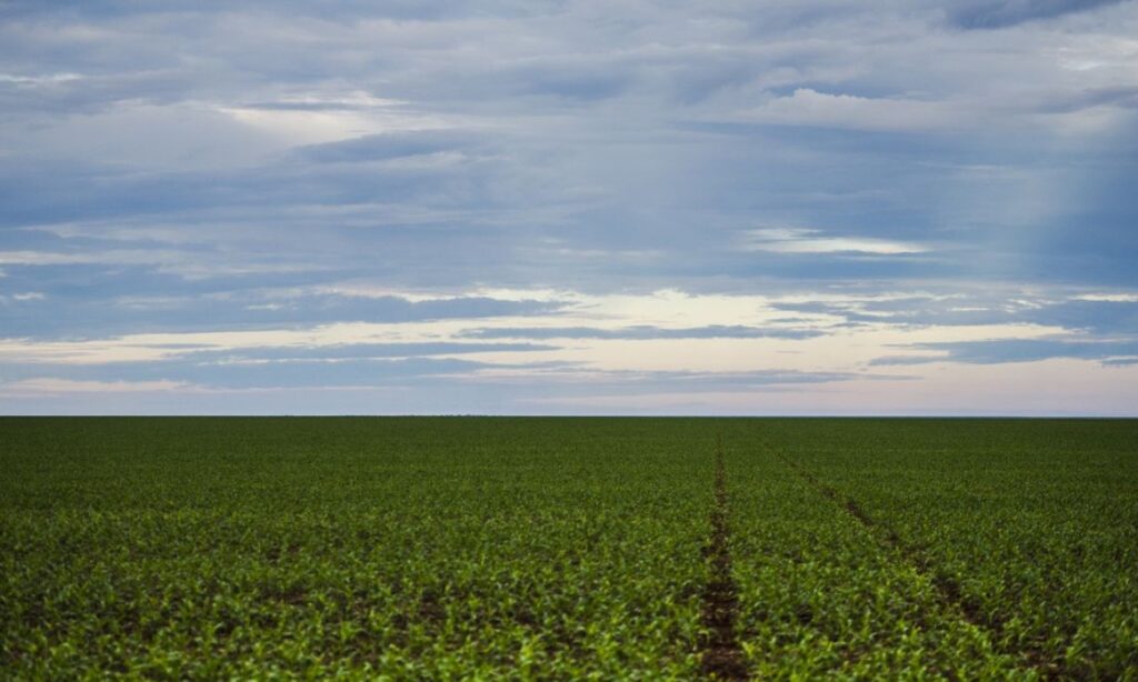 Marco regulatório para agrotóxicos é publicado no DOU