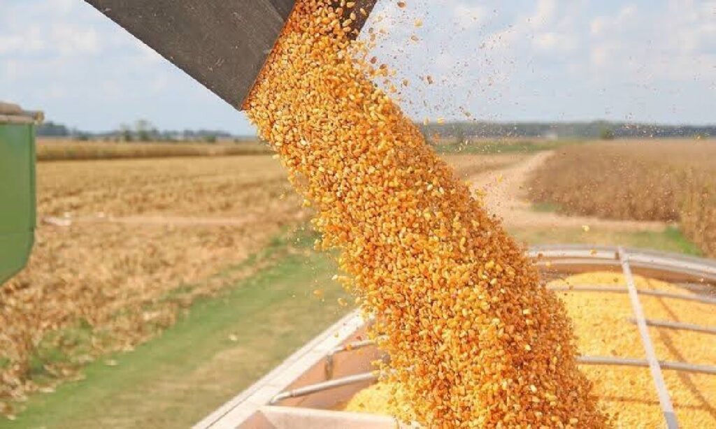 Balança Comercial de Goiás aumenta 17