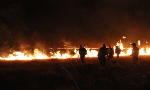 Parecer divulgado em 2018 afirma que produto contra fogo utilizado na Chapada dos Veadeiros é tóxico