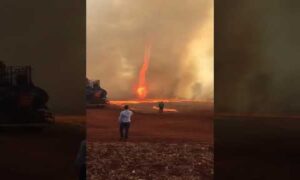 Vídeo de redemoinho de fogo em Goiás choca a internet