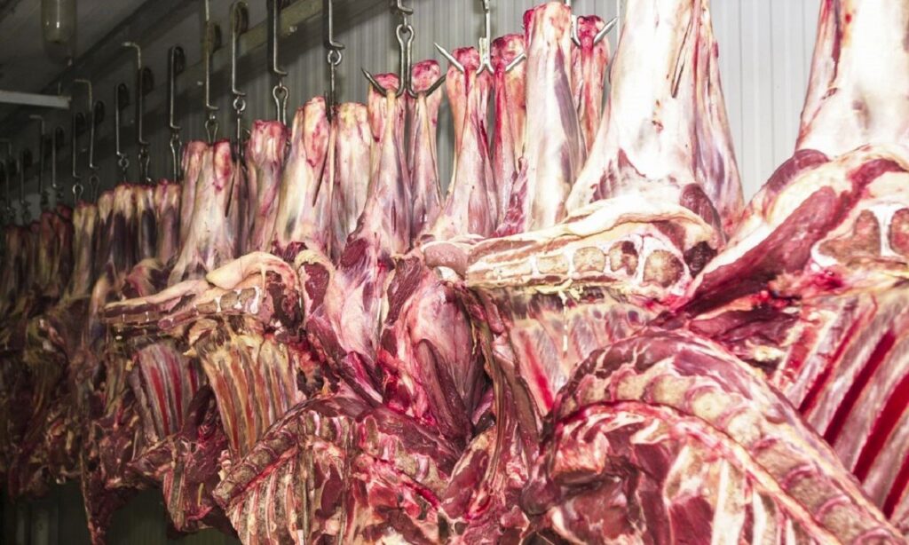 Brasil abre mercado para exportar carne bovina e miúdos à Tailândia