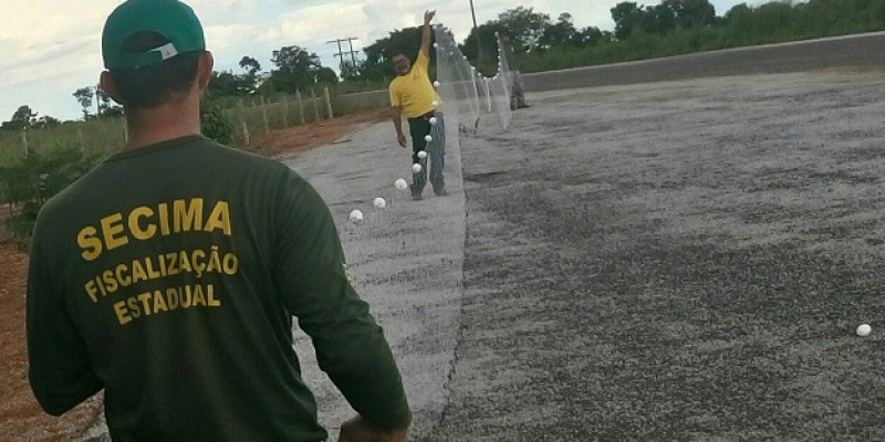 Período da piracema segue até fevereiro do próximo ano