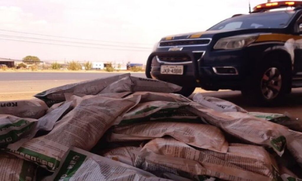 PRF prende homem que transportava 289 kg de agrotóxicos em Rio Verde