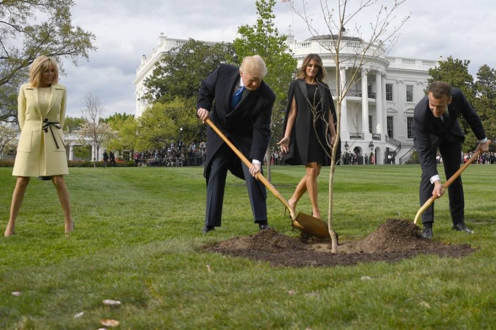 Árvore plantada por Trump e Macron como sinal de amizade morreu na quarentena