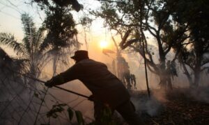 Bombeiros controlam fogo no Parque Altamiro de Moura Pacheco