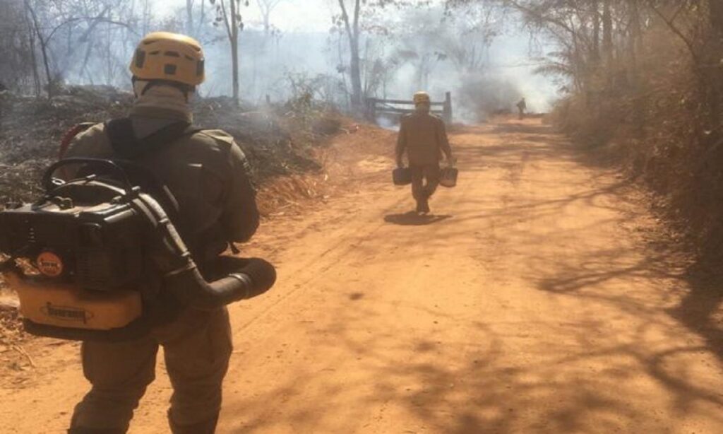 Incêndio é combatido em vegetação próxima a parque estadual por Corpo de Bombeiros