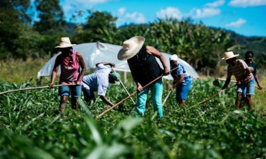 Dia da Amazônia: mulheres agricultoras falam sobre preservação