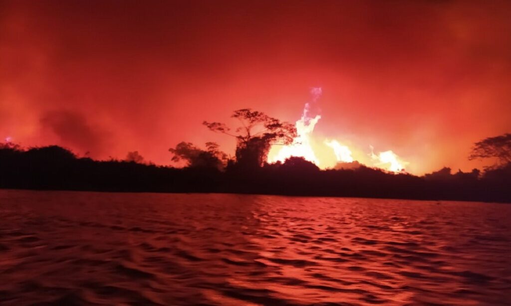 Incêndio próximo a rio assusta pescadores no Pantanal (MT)