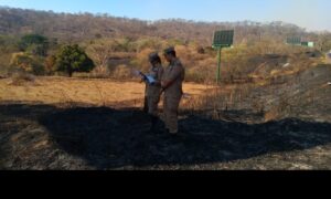 Dema investiga causa do incêndio no Parque Estadual Altamiro de Moura