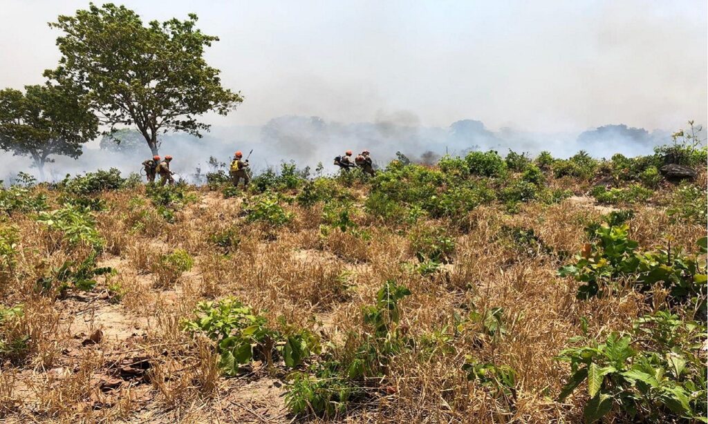 Incêndio na Chapada dos Veadeiros se concentra em três setores