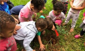 Projeto de educação ambiental promove plantio de árvores em escolas e cmei de Goiânia