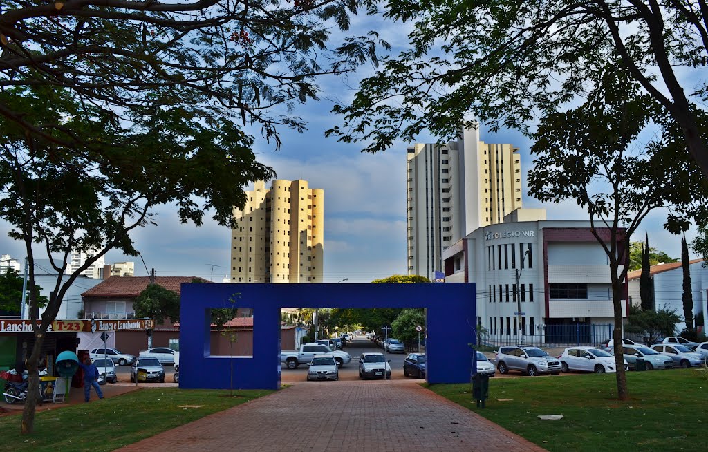 Ninho urbano: Arte de rua em Goiânia