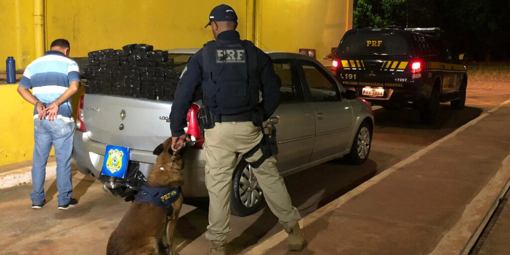 PRF apreende 100 kg de maconha com ajuda de cão farejador