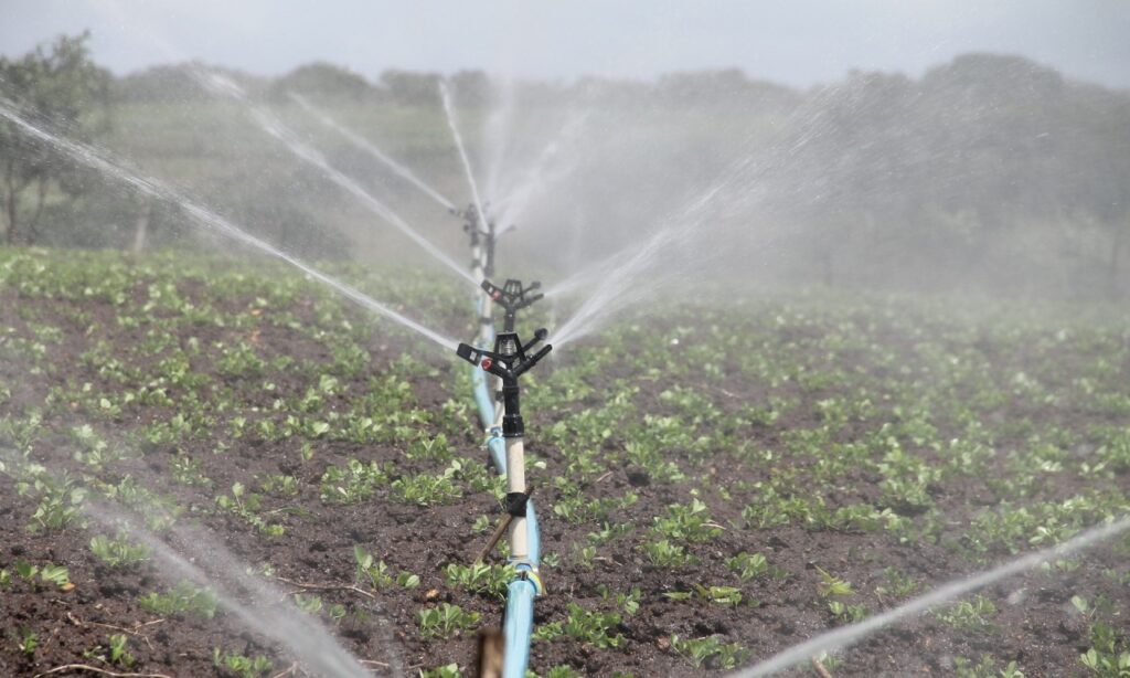 Produtores rurais deverão fazer irrigação à noite