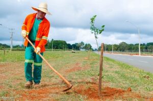 Comurg promove força-tarefa de limpeza e plantio no Residencial Jardins do Cerrado