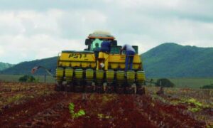 Clima seco deve comprometer próxima safra de soja em Goiás