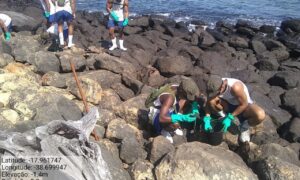 Visitas a Abrolhos estão suspensas por conta de óleo