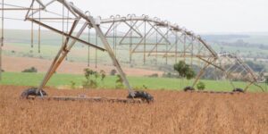 Agropecuária lidera aumento de 16