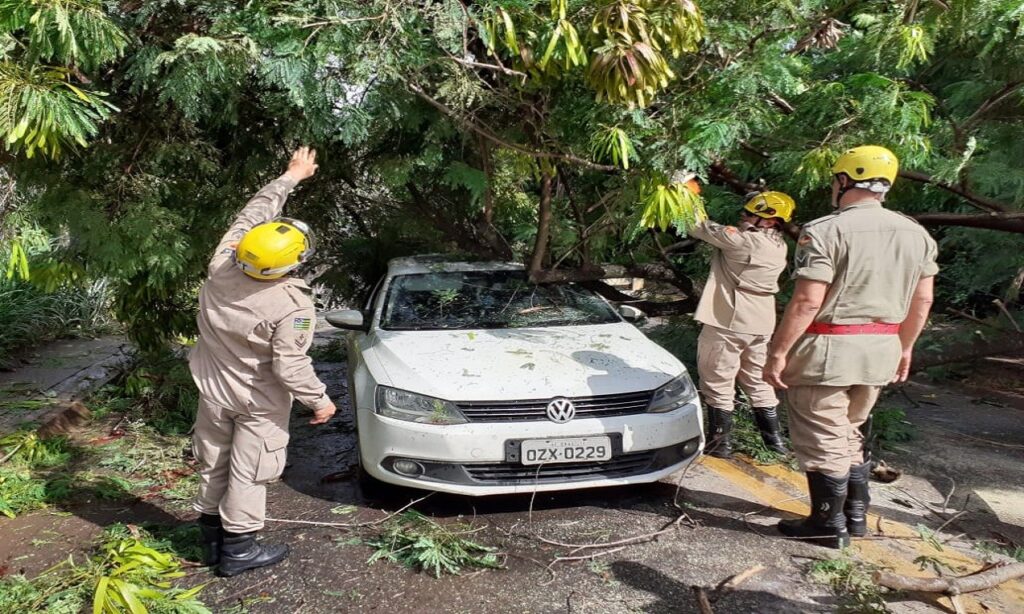 Árvore cai sobre carro e deixa família presa no Setor Jaó