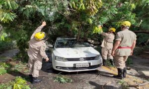 Árvore cai sobre carro e deixa família presa no Setor Jaó