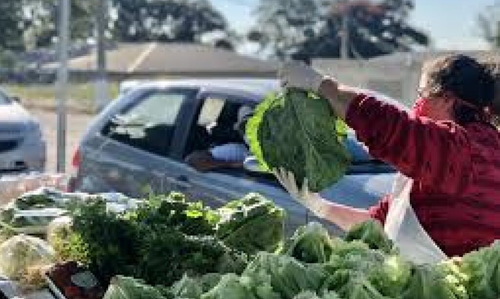 Venda de alimento saudável cresce na pandemia