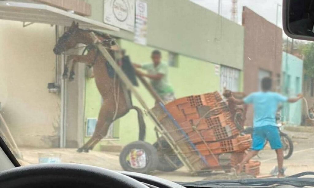 Burro é erguido por carroça com excesso de peso em Juazeiro do Norte