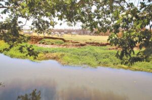 Como a Bacia do Rio Meia Ponte perdeu 78% de sua vegetação natural