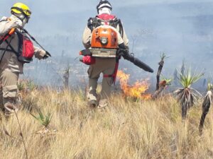 Ventos e redemoinhos dificultam combate a incêndio na Chapada