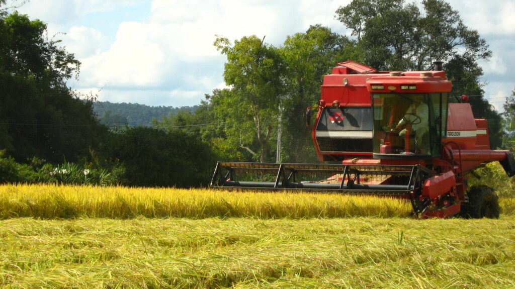 Agronegócio deve impulsionar PIB em 2022; previsão de crescimento é de 5%