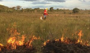 Combate ao fogo na Chapada dos Veadeiros recebe doação de equipamentos