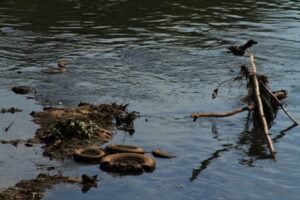 Seca faz vazão do Meia Ponte cair para estado de alerta