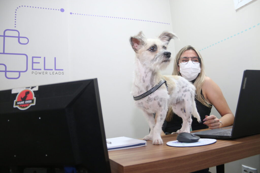 Bem-Vindos: especialistas afirmam que pets diminuem o estresse do ambiente corporativo