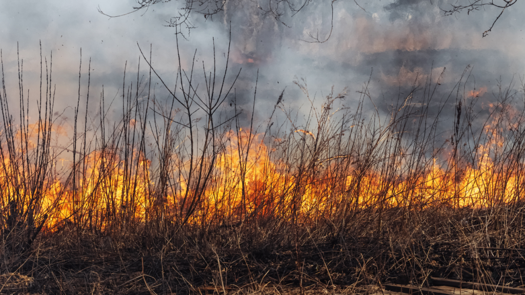 Bombeiros entram em ação para conter incêndio na Serra das Areias