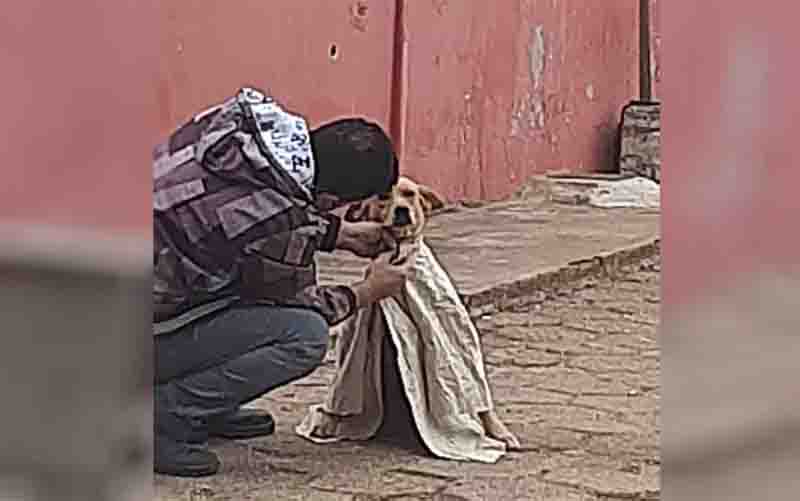 Homem é flagrado agasalhando cachorro para proteger do frio em Alexânia-GO: ‘Ato de carinho’