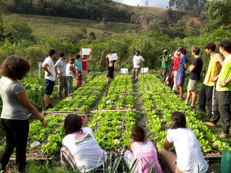 Agroecologia: a perspectiva que se opõe ao agronegócio e desafia os paradigmas da agricultura moderna