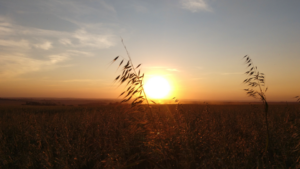 Calor: Goiânia pode atingir nova temperatura recorde até o final de semana