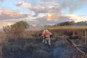 Incêndio atinge zona rural de Nerópolis