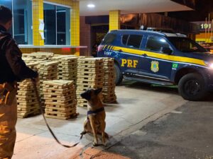 PRF apreende quase 2 toneladas de maconha em rodovias goianas