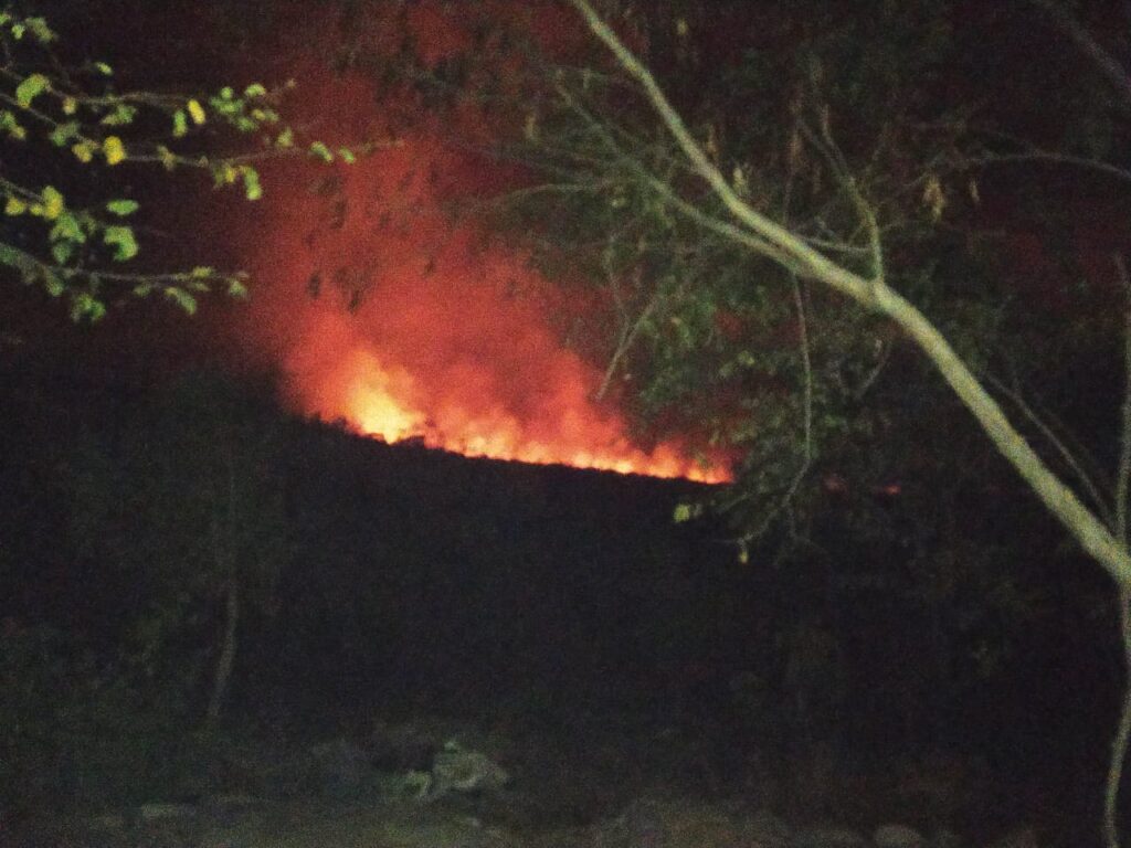 Bombeiros criam força tarefa para conter incêndio na região da Chapada dos Veadeiros