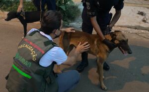 Amma e Romu atuam em caso de maus-tratos a animal na região Oeste de Goiânia