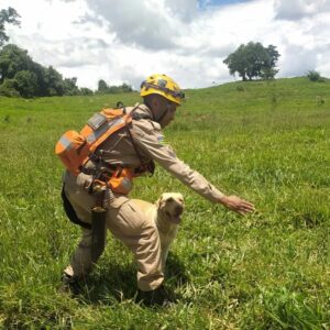 Homem que estava desaparecido é encontrado morto em zona rural de Pirenópolis