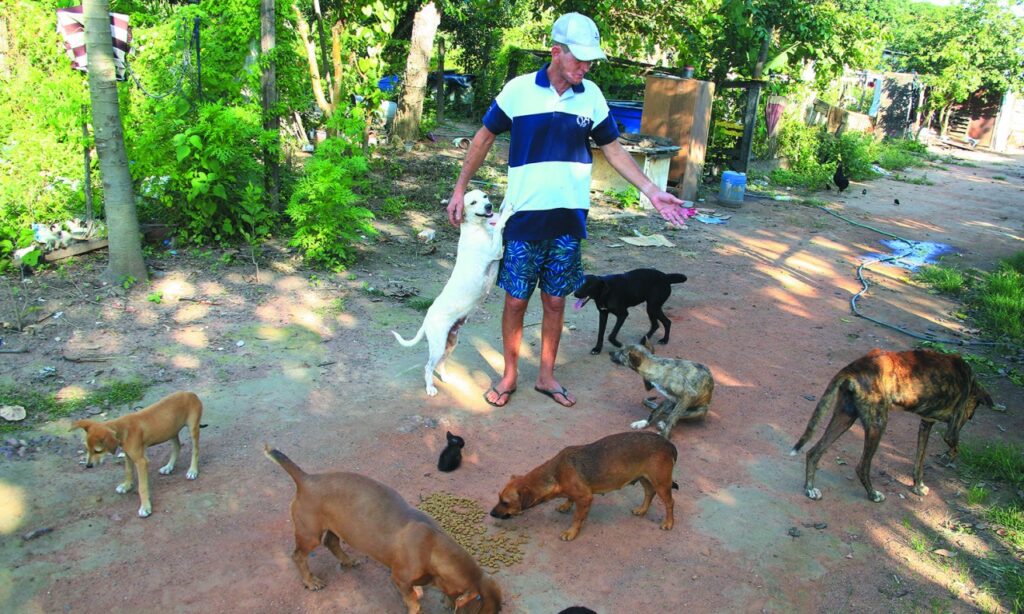 Moradores acolhem cães abandonados às margens da GO-219