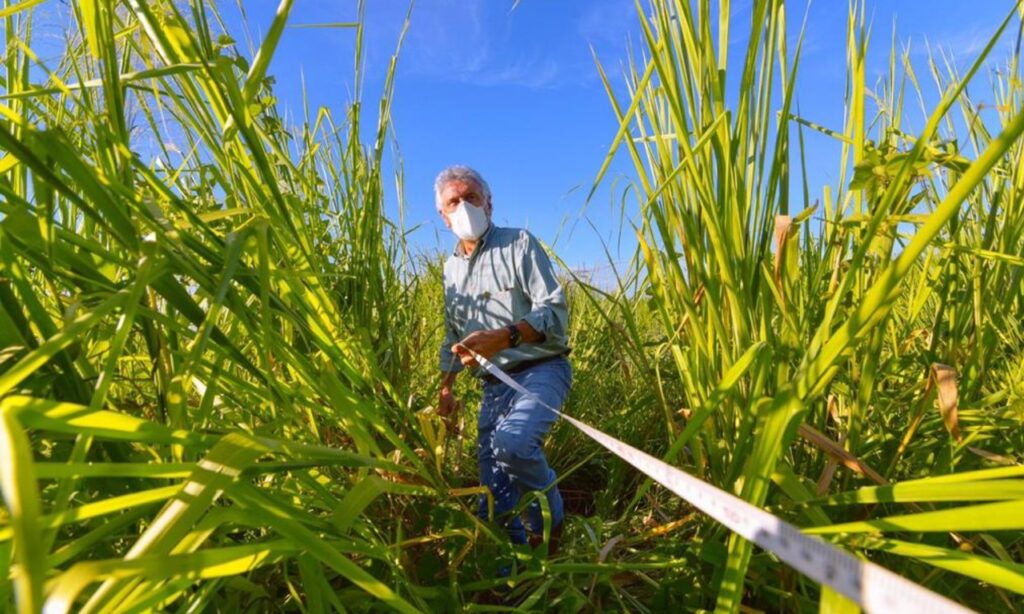 Caiado inicia negociações para instalar Centro de Tratamento de Câncer em Goiás