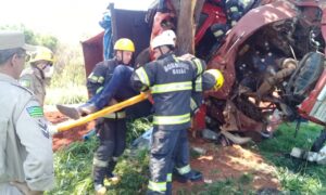 Motorista sobrevive após caminhão tombar e bater em árvore na Avenida Goiás