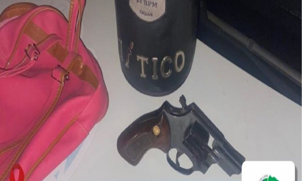 PM prende mulher suspeita de porte ilegal de armas