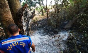 Fogo castiga Horto em Aparecida