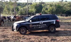 Ocorrências de roubo no campo caíram pela metade nos últimos dois anos