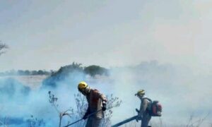 Incêndio atinge proximidades do Parque Altamiro de Moura Pacheco